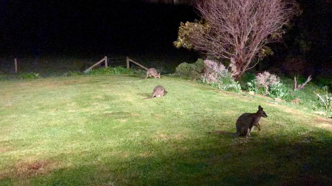 Bee'S Place - 3 Bedroom Home On 10 Acres Of Land With Distant Ocean Views Emu Bay Exteriör bild
